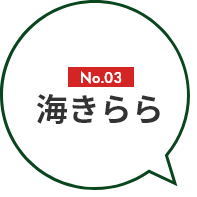 No.03 海きらら